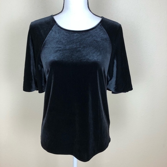 Lauren Ralph Lauren Velvet Short Sleeve Top Womens Petite Size PS Gray Pullover - Picture 1 of 7